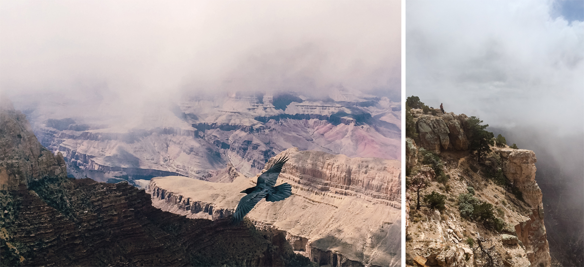 Renegades, Grand Canyon