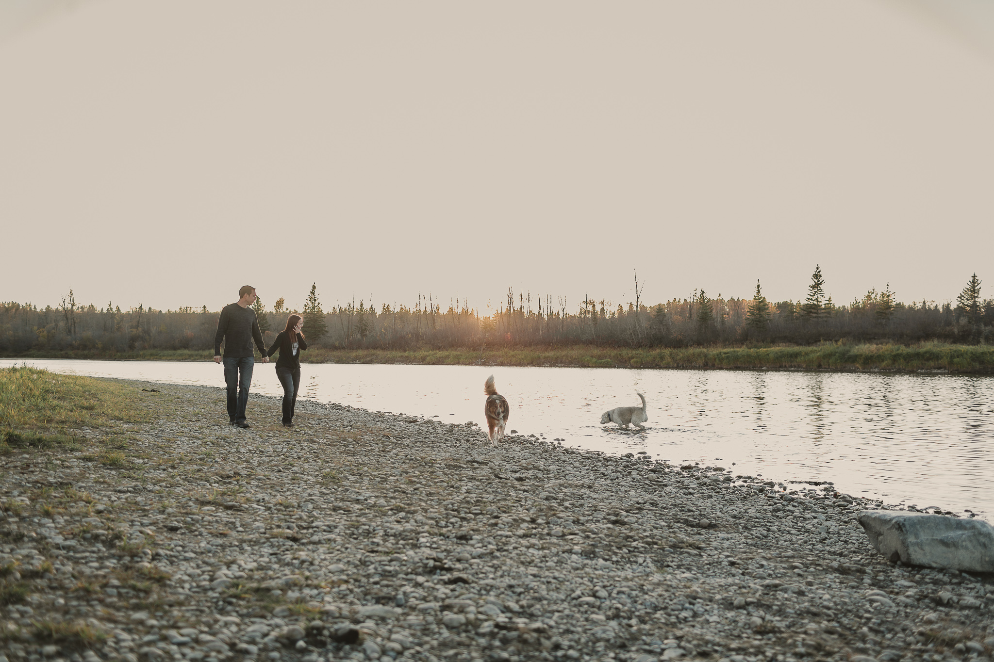 man and woman walking two dogs by river