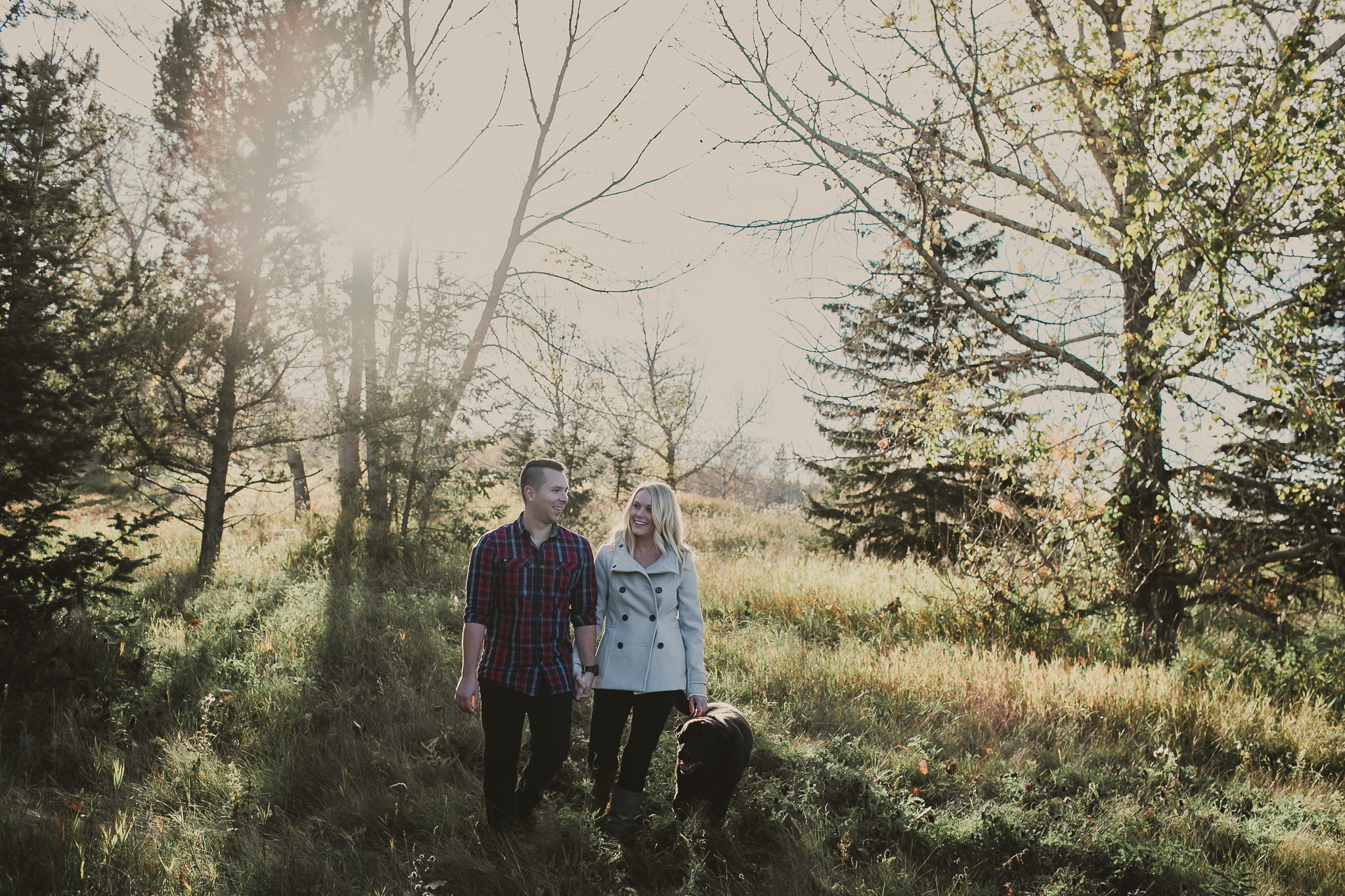 couple walking with dogs