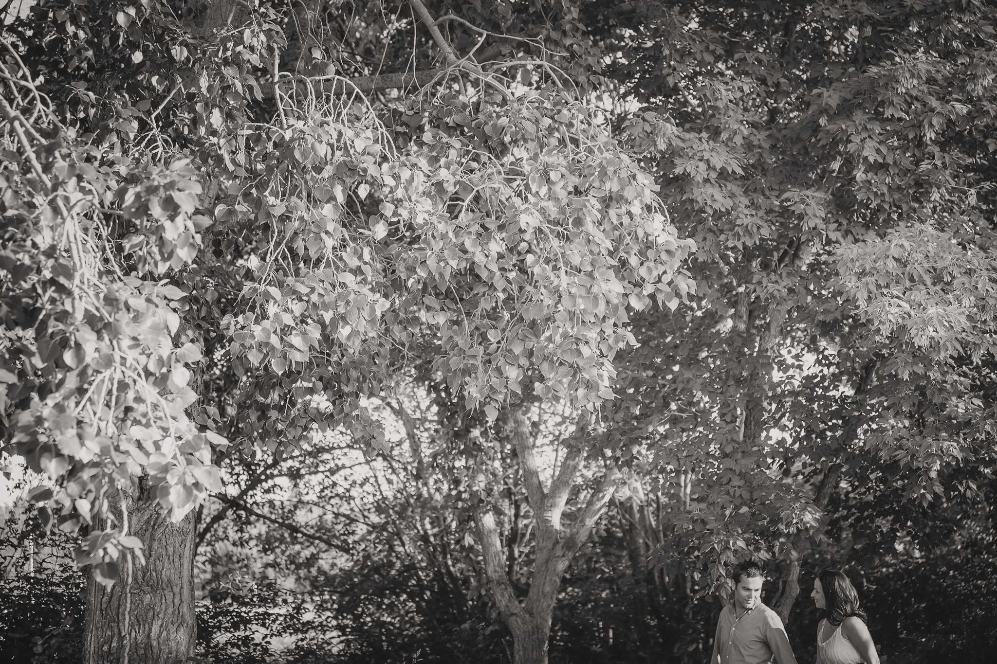 man and woman standing in the trees