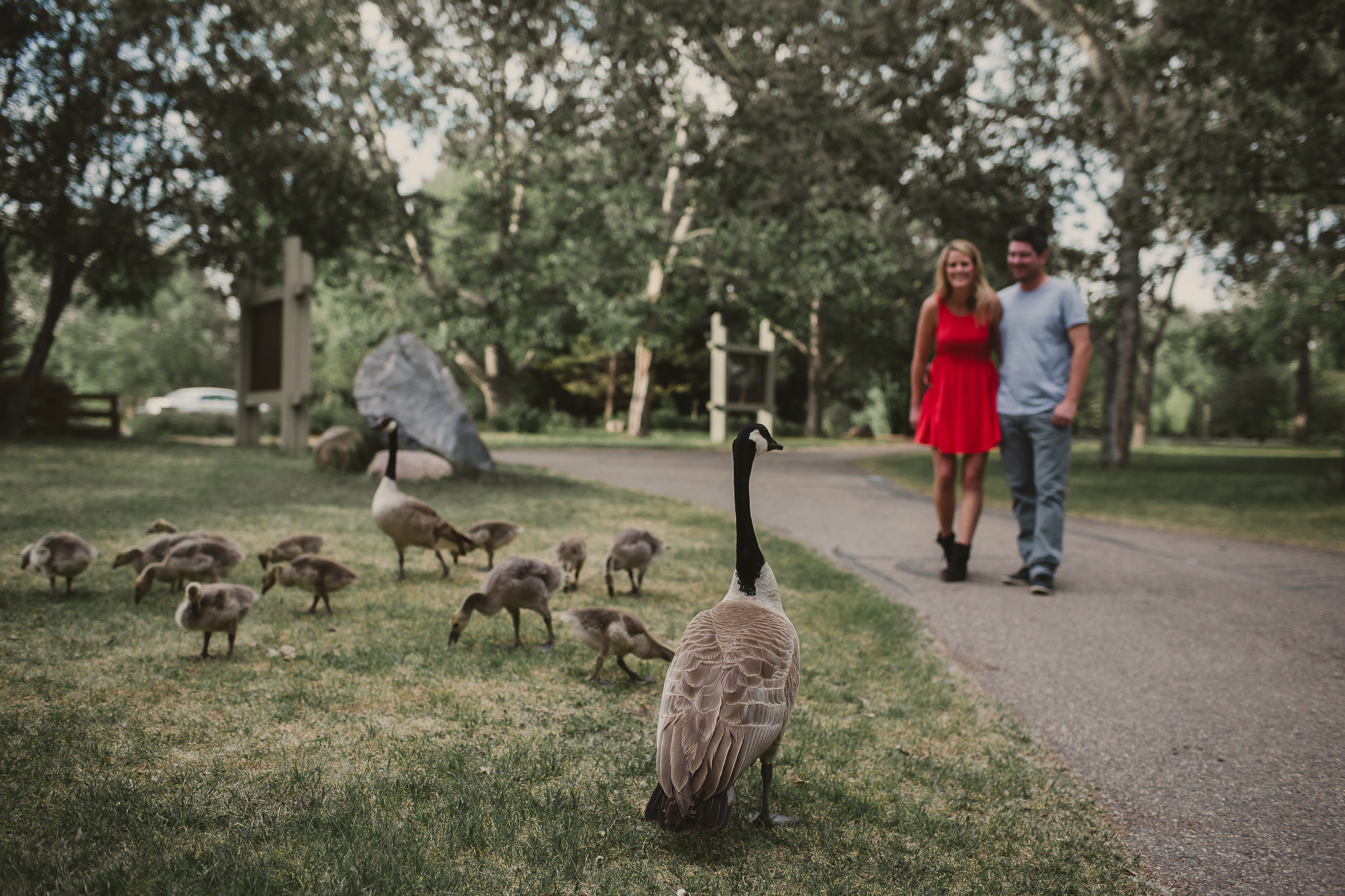 man and woman and goose