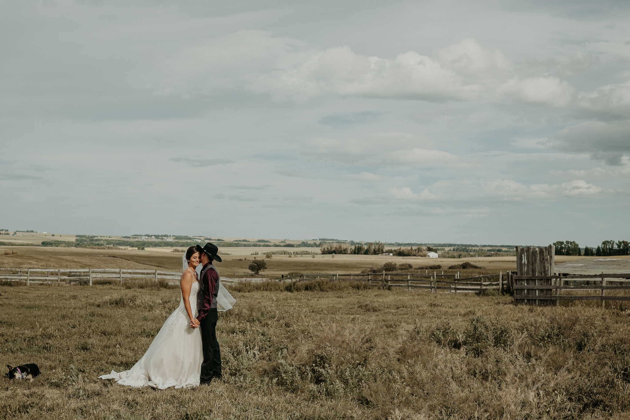 cowboy and bride embracing in a pasture