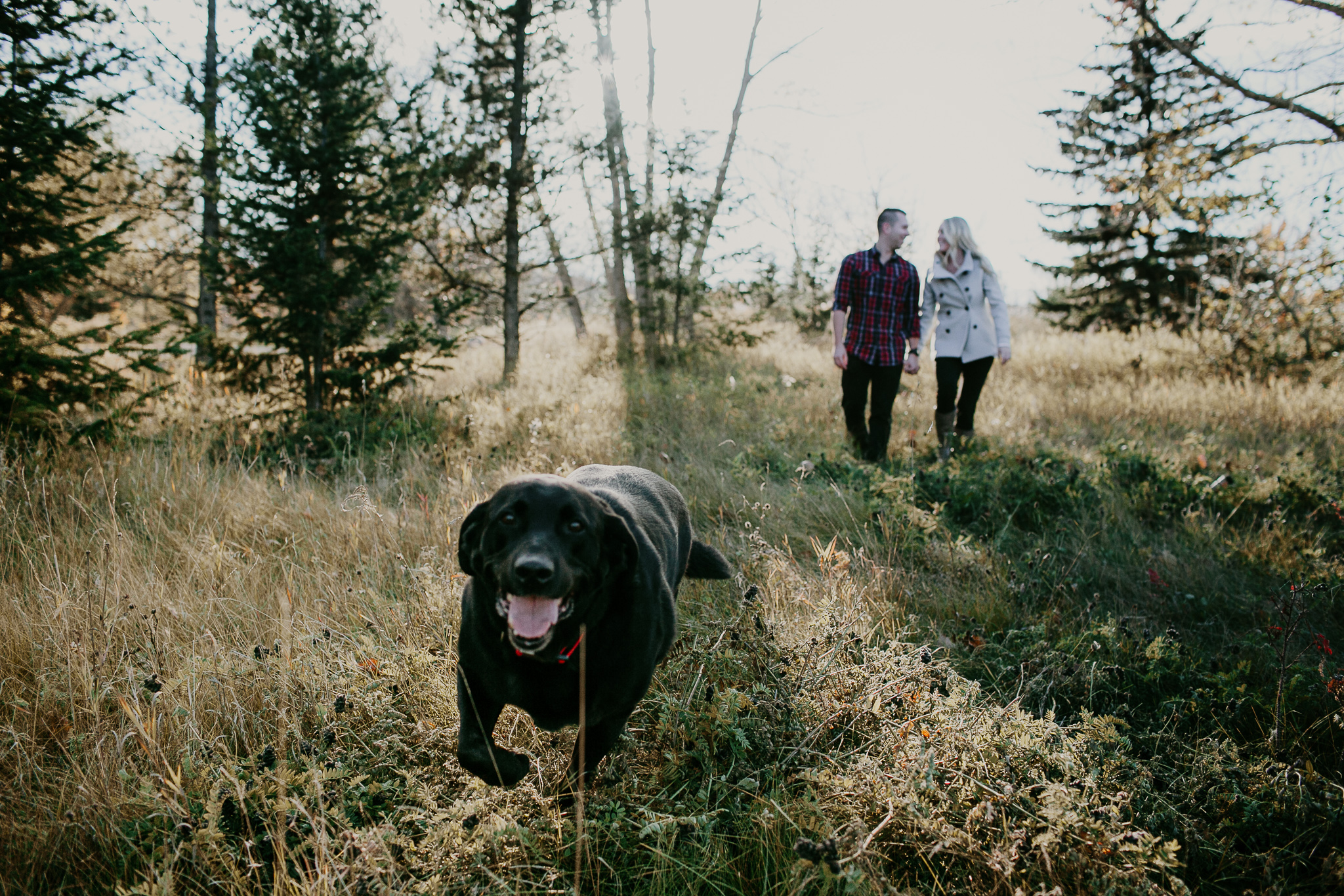 black dog runs ahead of couple